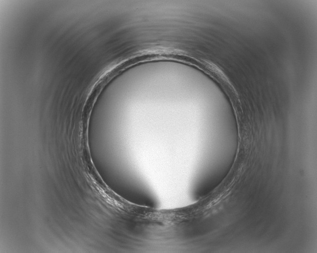 X0000078890831200611271350