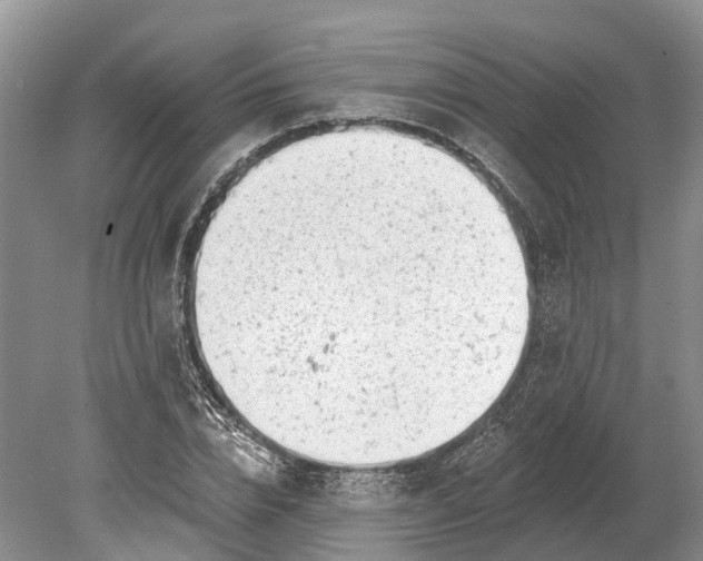 X0000078890832200611271350