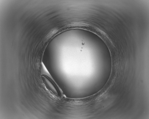 X0000078890833200611271350