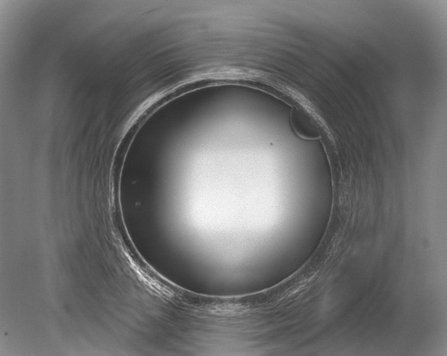 X0000078890837200611271350