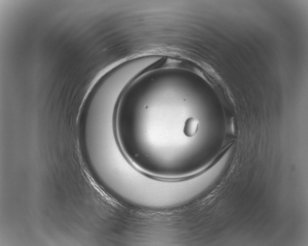 X0000078890838200611271350