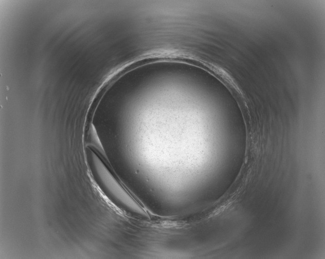 X0000078890839200611271350