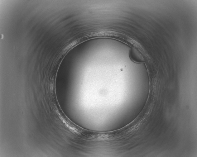 X0000078890841200611271350