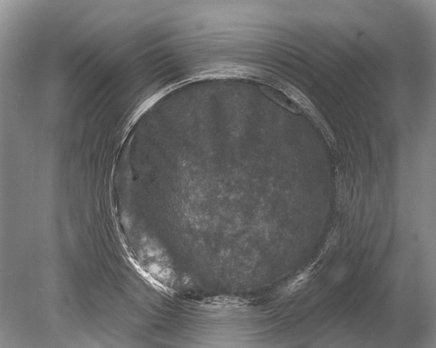 X0000078890842200611271350