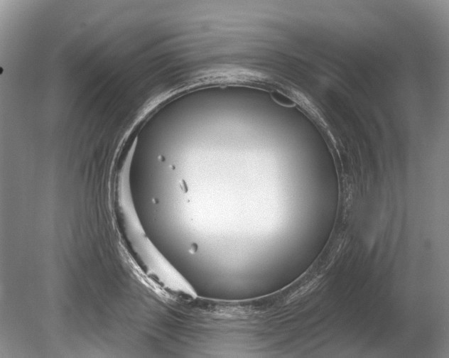 X0000078890843200611271350