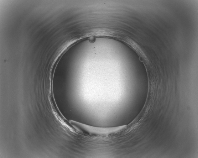 X0000078890844200611271350