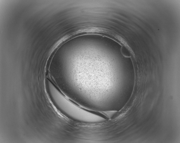 X0000078890845200611271351