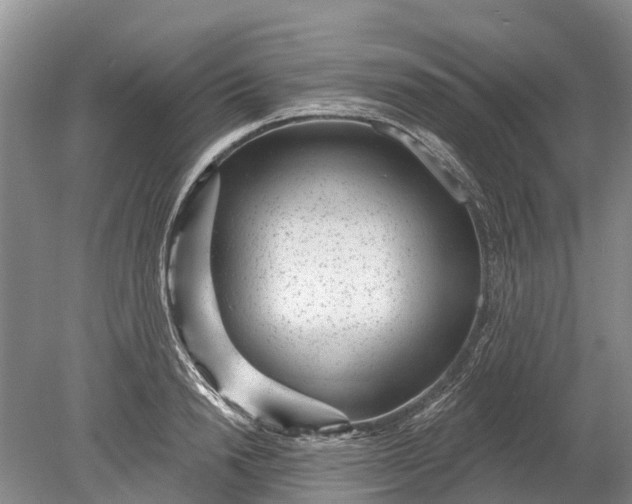 X0000078890846200611271351