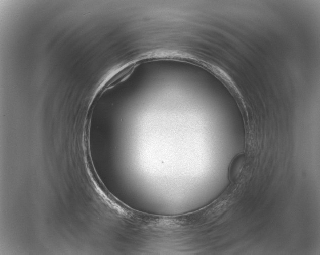 X0000078890847200611271351