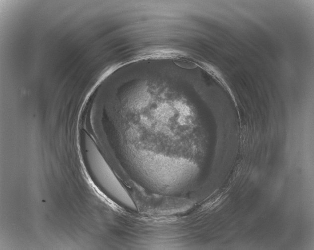 X0000078890851200611271351