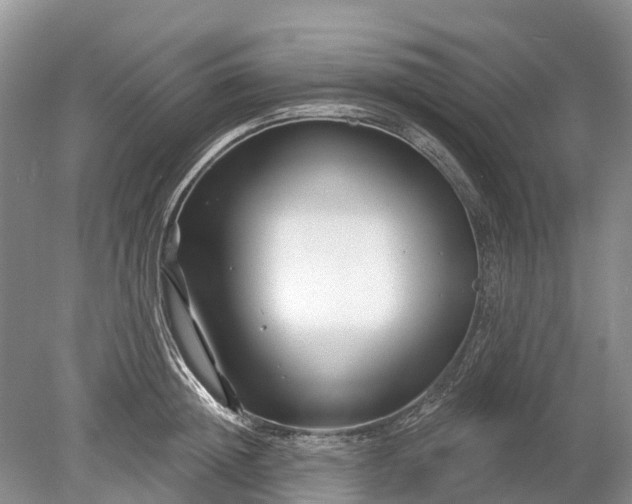 X0000078890852200611271351