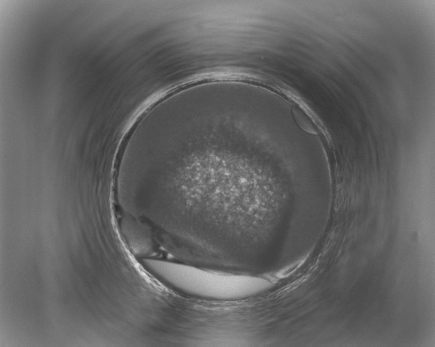 X0000078890853200611271351