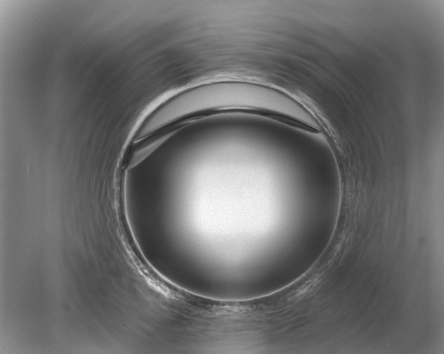 X0000078890854200611271351