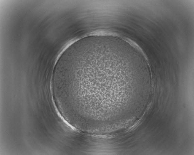 X0000078890855200611271351