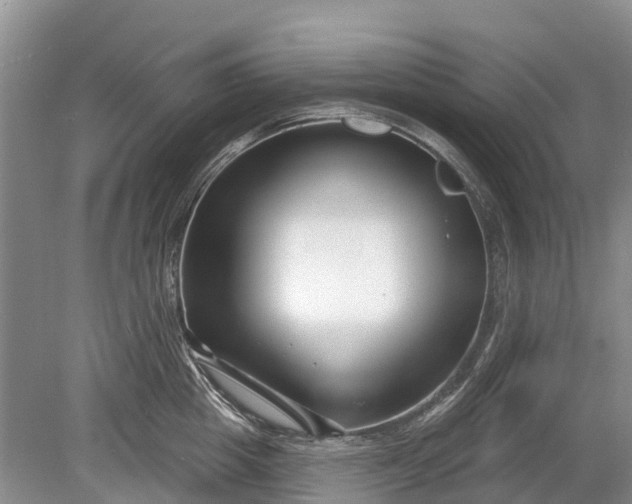 X0000078890857200611271351