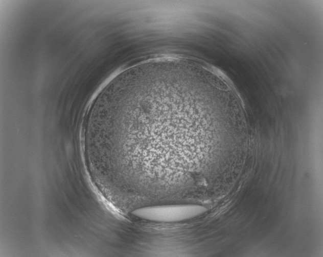 X0000078890859200611271351