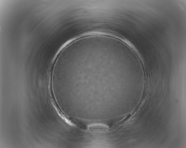 X0000078890862200611271351