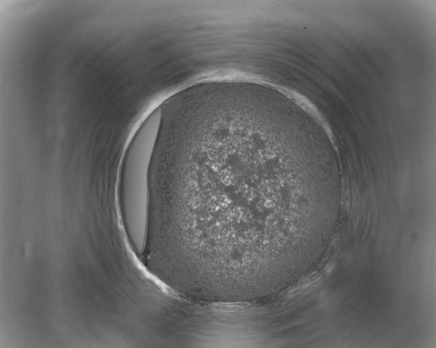 X0000078890863200611271351