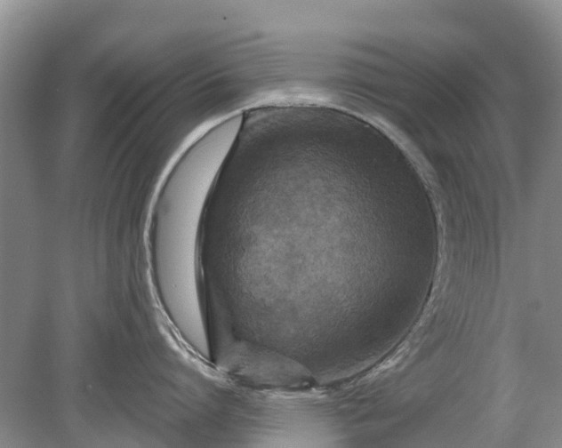 X0000078890864200611271351