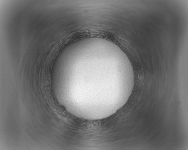 X0000078890865200611271350