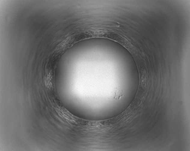 X0000078890866200611271350