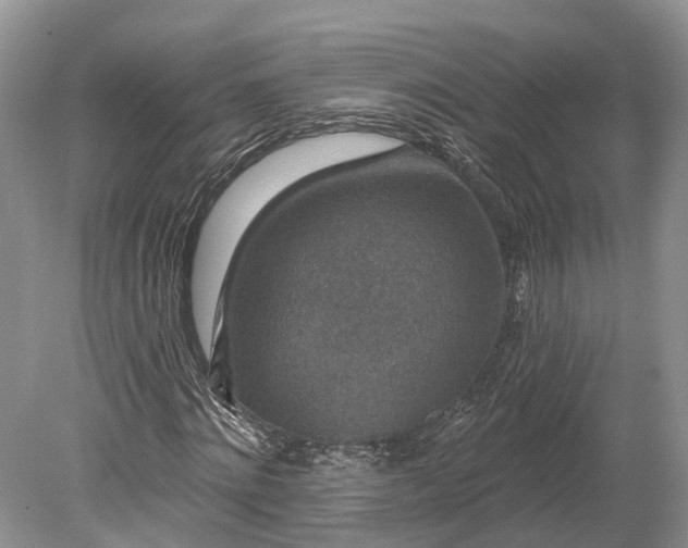 X0000078890868200611271350