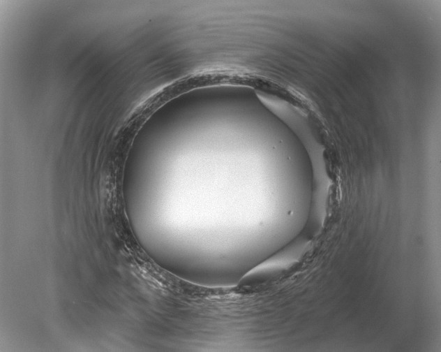 X0000078890872200611271350