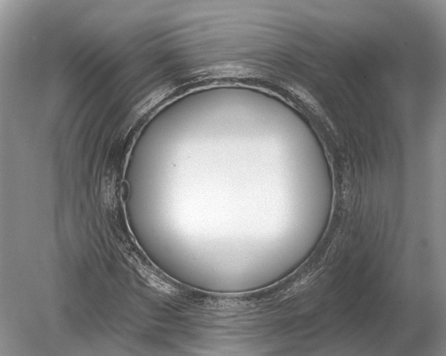 X0000078890873200611271350