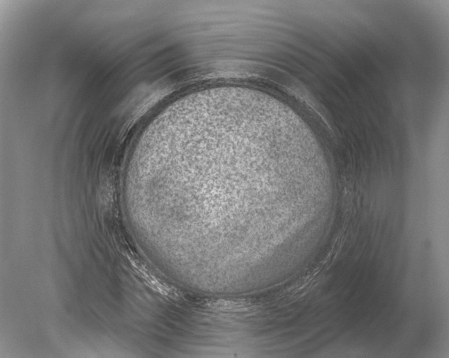 X0000078890874200611271350