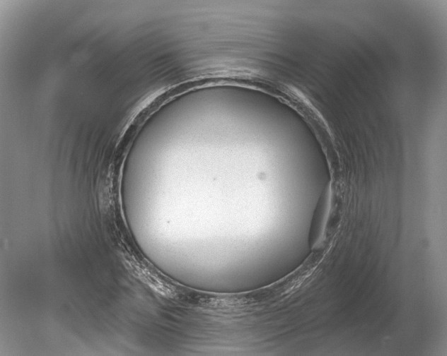 X0000078890875200611271350