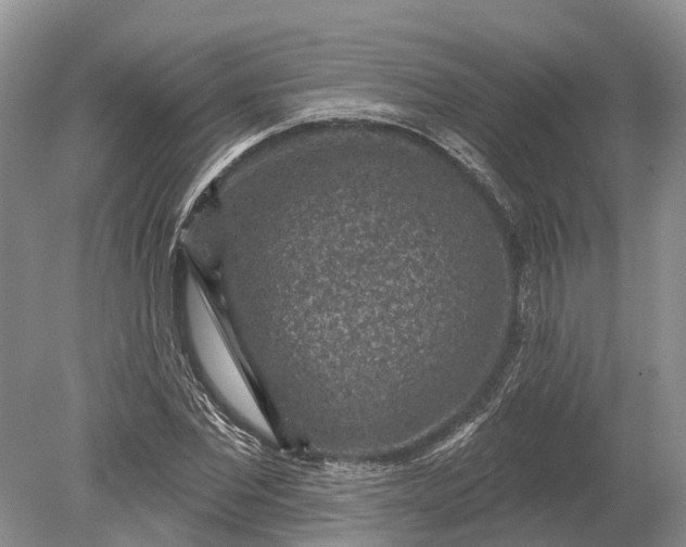 X0000078890877200611271350