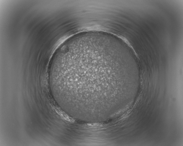 X0000078890879200611271350