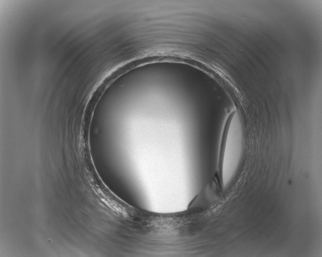 X0000078890880200611271350