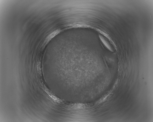 X0000078890881200611271350