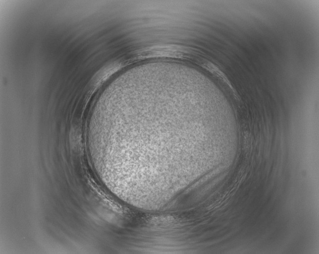 X0000078890882200611271350