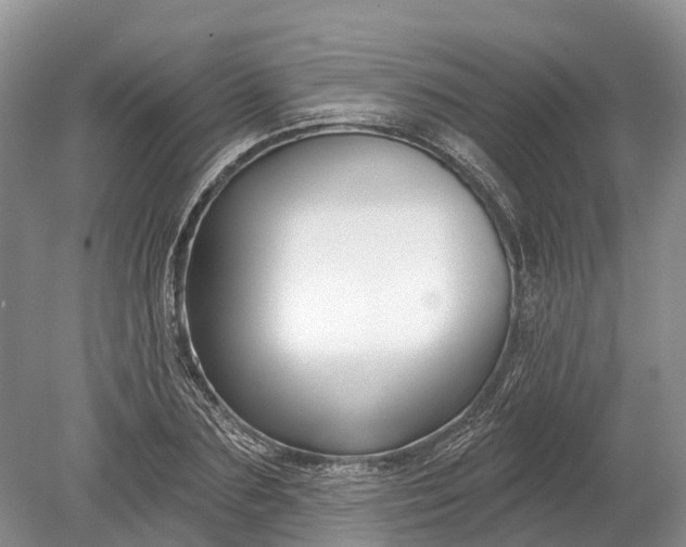 X0000078890883200611271350