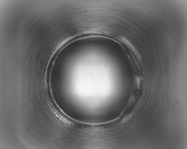 X0000078890884200611271350