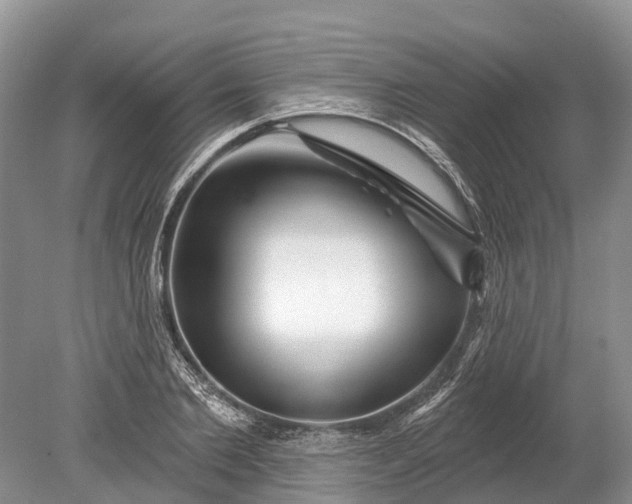 X0000078890885200611271350