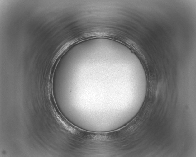 X0000078890890200611271350