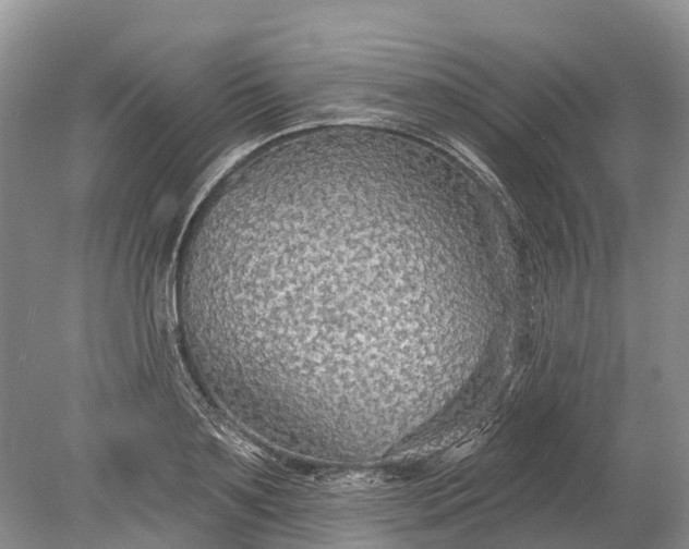 X0000078890891200611271350