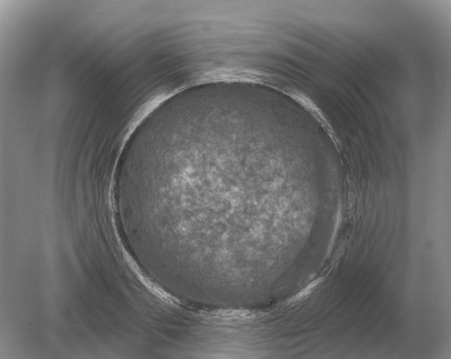 X0000078890893200611271350