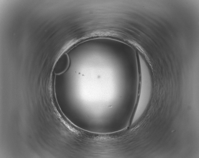 X0000078890894200611271350