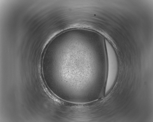 X0000078890896200611271350