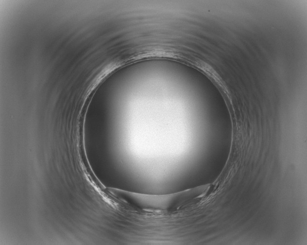 X0000078890898200611271349