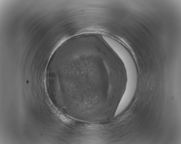 X0000078890899200611271349