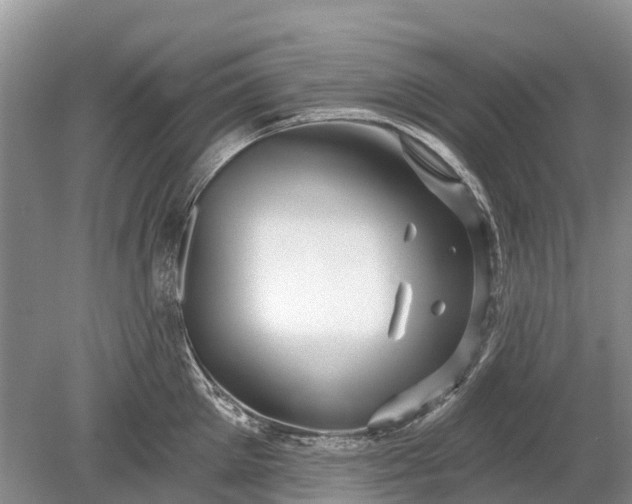 X0000078890905200611271349