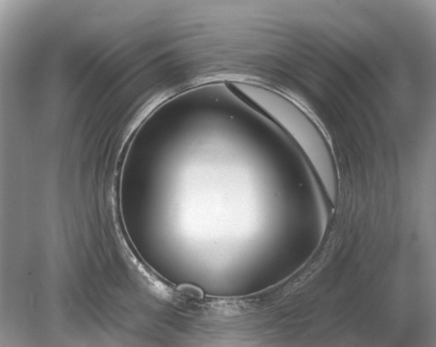 X0000078890906200611271349