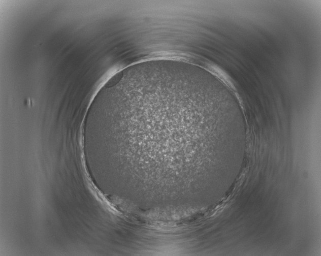 X0000078890907200611271349