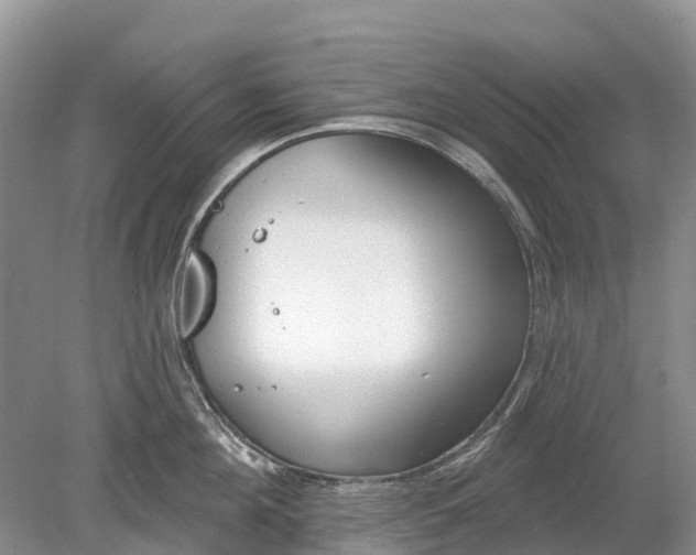 X0000078890908200611271349