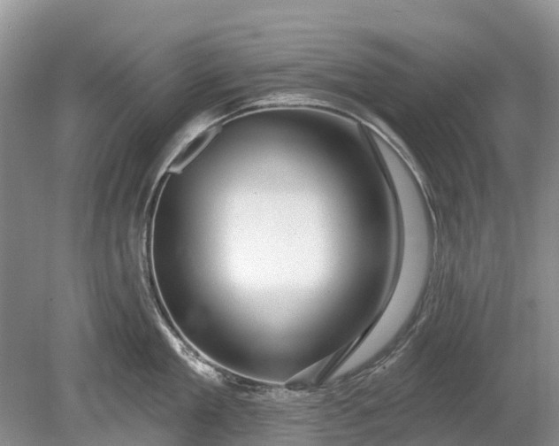 X0000078890909200611271349